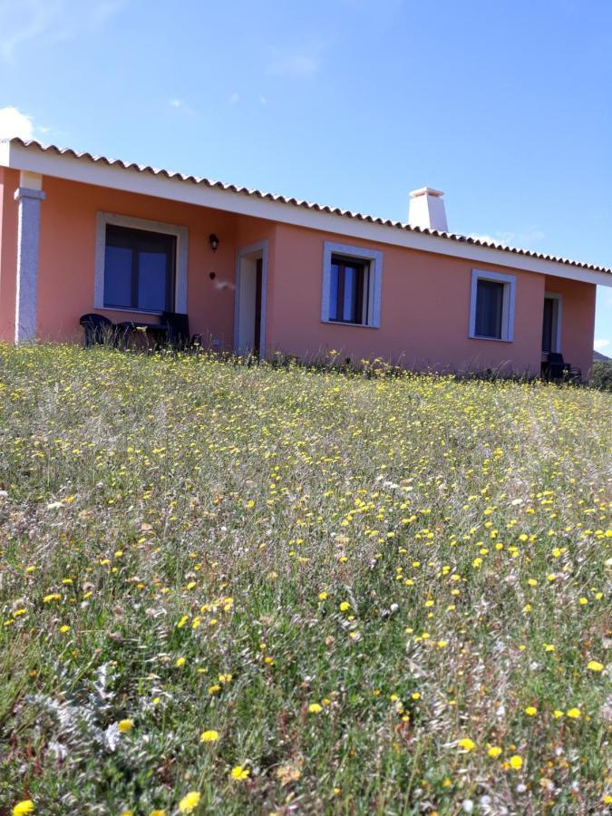 Agriturismo Gli Olivastri, Appartamento La Rosa Dei Venti Con Piscina E Solarium , Vista Mare ,Climatizzatore ,Wifi Aglientu Kültér fotó
