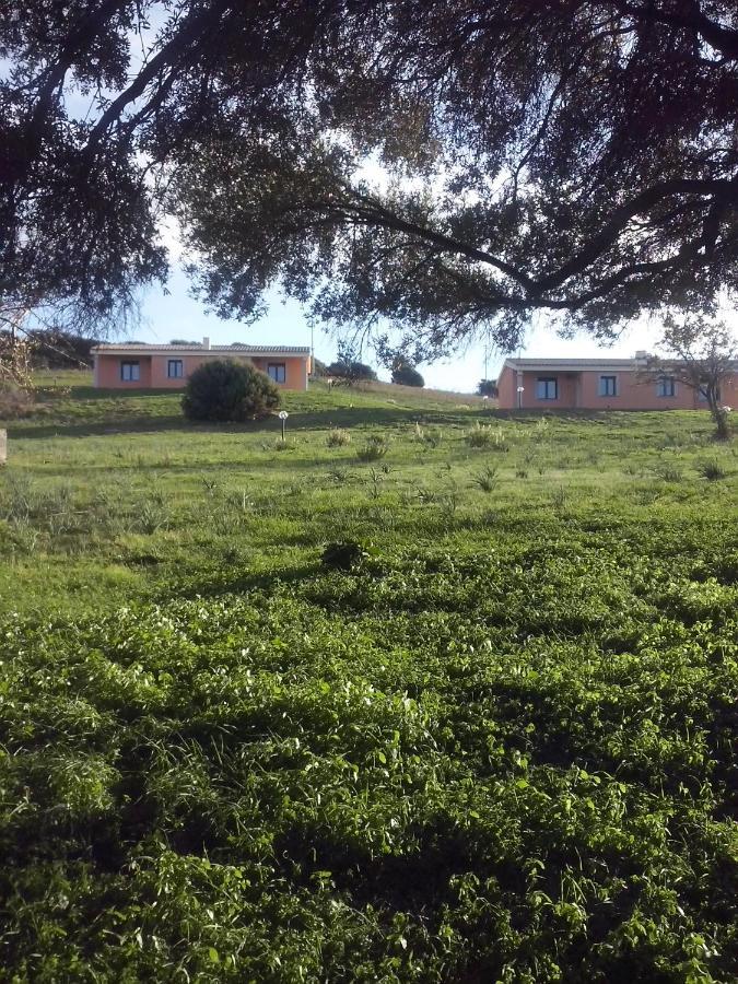 Agriturismo Gli Olivastri, Appartamento La Rosa Dei Venti Con Piscina E Solarium , Vista Mare ,Climatizzatore ,Wifi Aglientu Kültér fotó