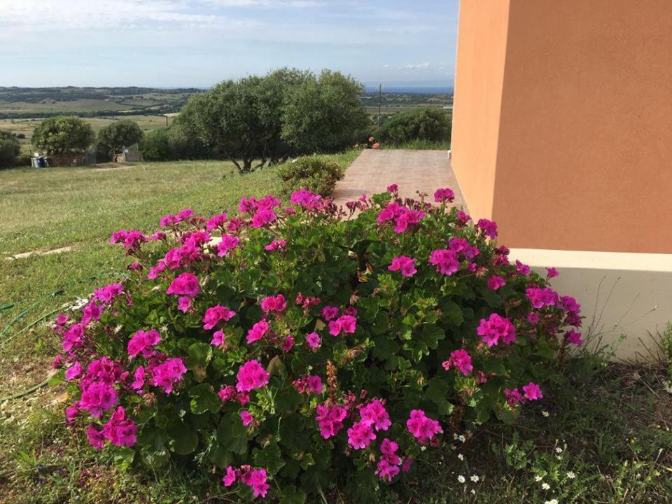 Agriturismo Gli Olivastri, Appartamento La Rosa Dei Venti Con Piscina E Solarium , Vista Mare ,Climatizzatore ,Wifi Aglientu Kültér fotó