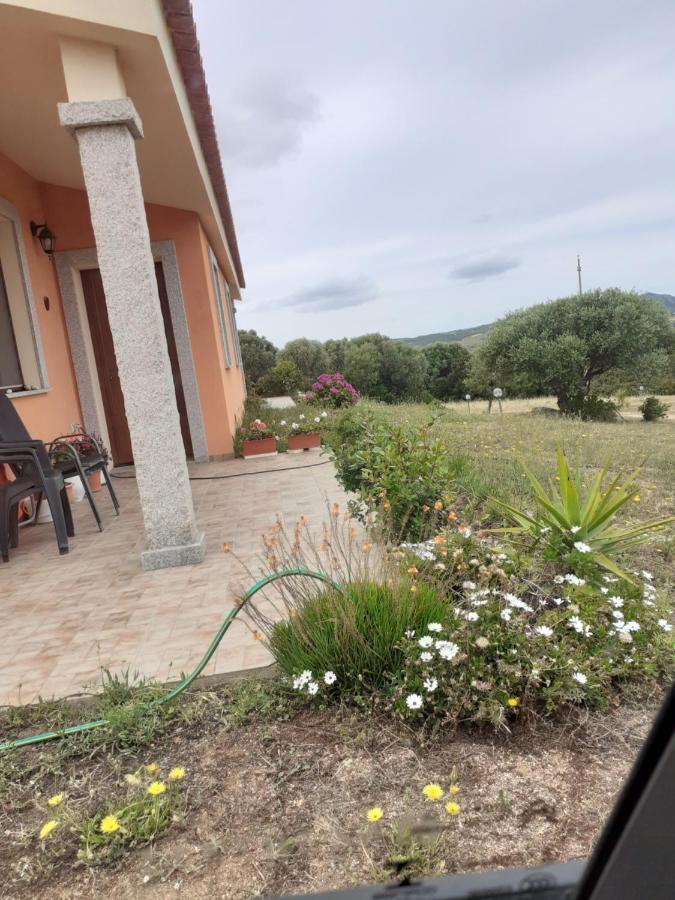 Agriturismo Gli Olivastri, Appartamento La Rosa Dei Venti Con Piscina E Solarium , Vista Mare ,Climatizzatore ,Wifi Aglientu Kültér fotó