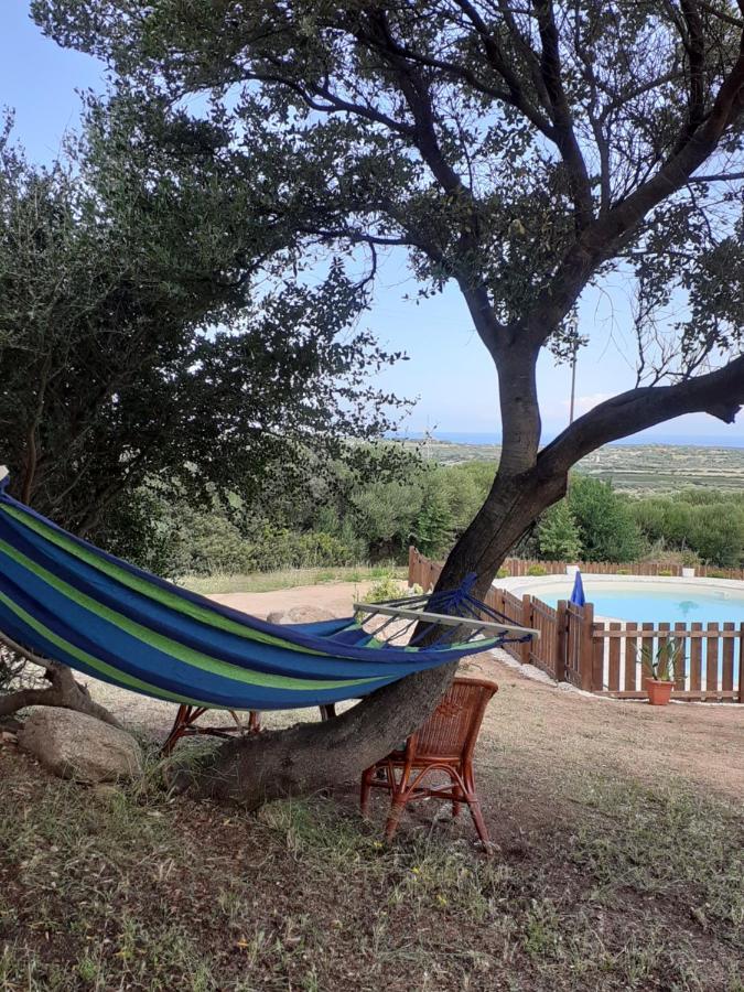 Agriturismo Gli Olivastri, Appartamento La Rosa Dei Venti Con Piscina E Solarium , Vista Mare ,Climatizzatore ,Wifi Aglientu Kültér fotó